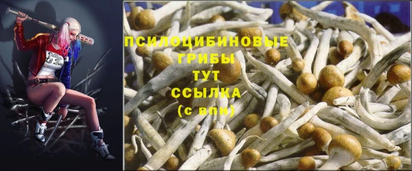 Альфа ПВП Абаза